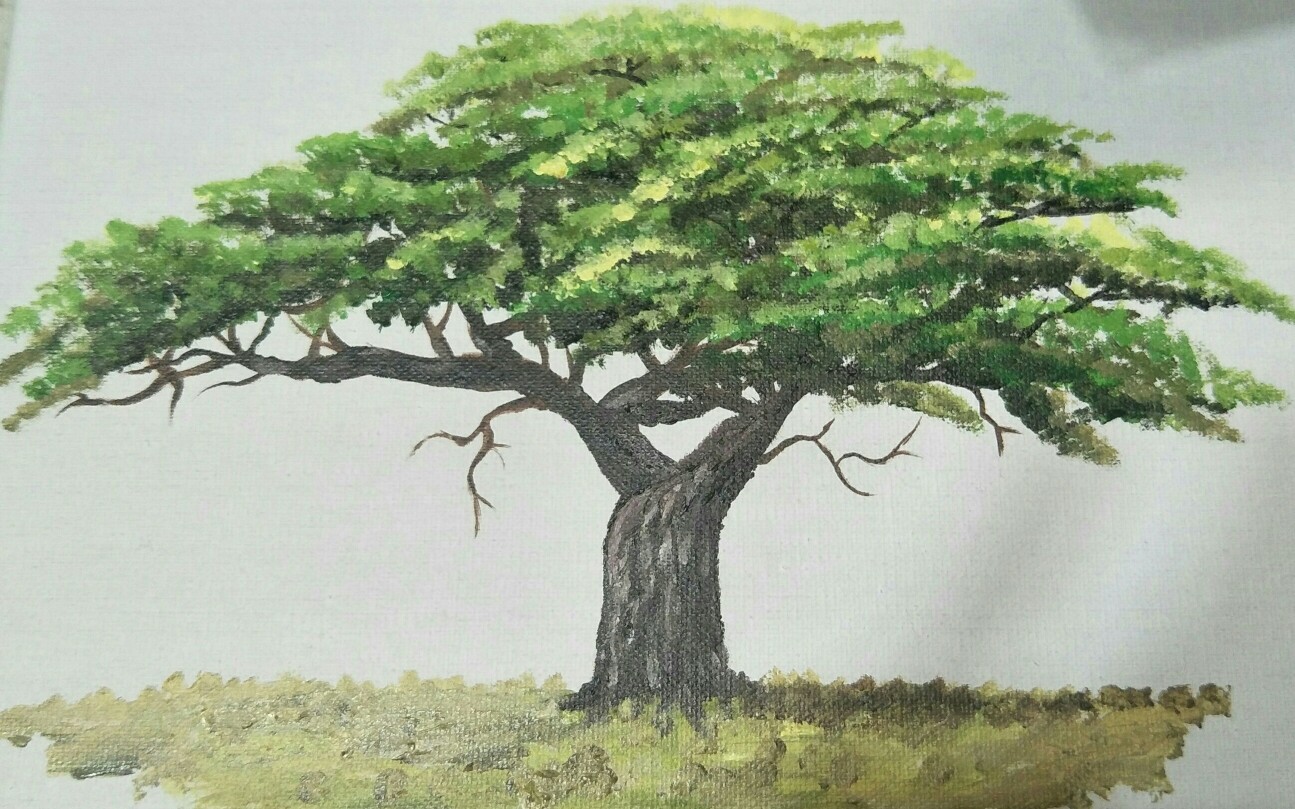 丙烯画树的画法图片