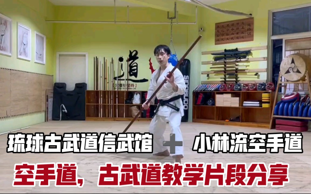 【教学片段】琉球古武道棒术,钗术➕ 小林流空手道哔哩哔哩bilibili