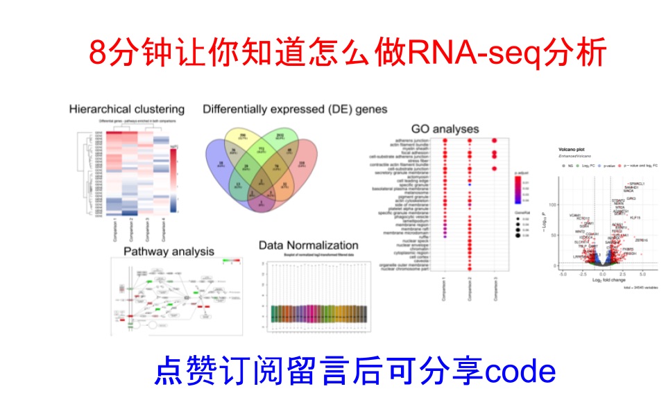 RNAseq分析方法介绍哔哩哔哩bilibili