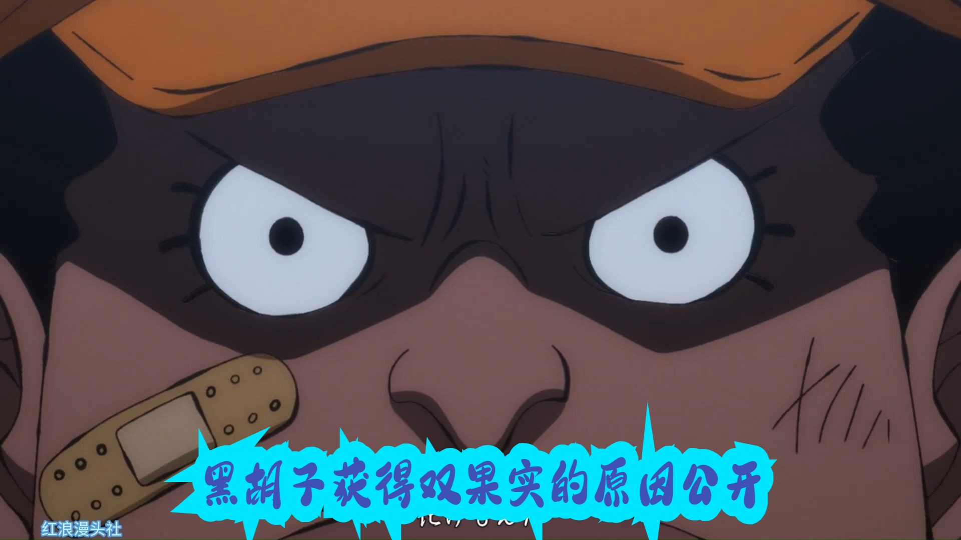 黑胡子获得双果实的原因公开,他的亲生父亲也即将揭晓,去攻打九蛇岛时