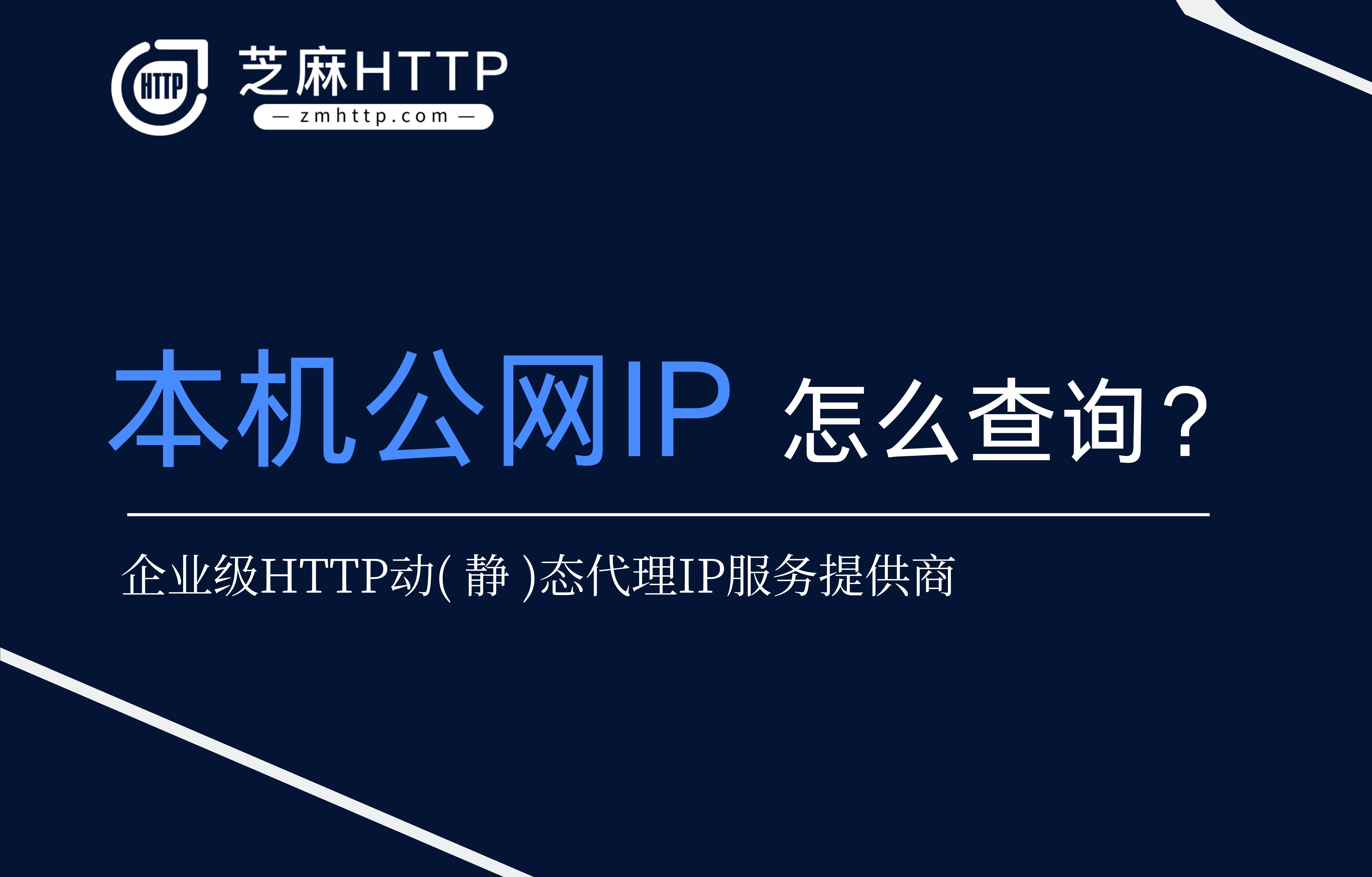 本机公网ip地址怎么查询?-芝麻HTTP