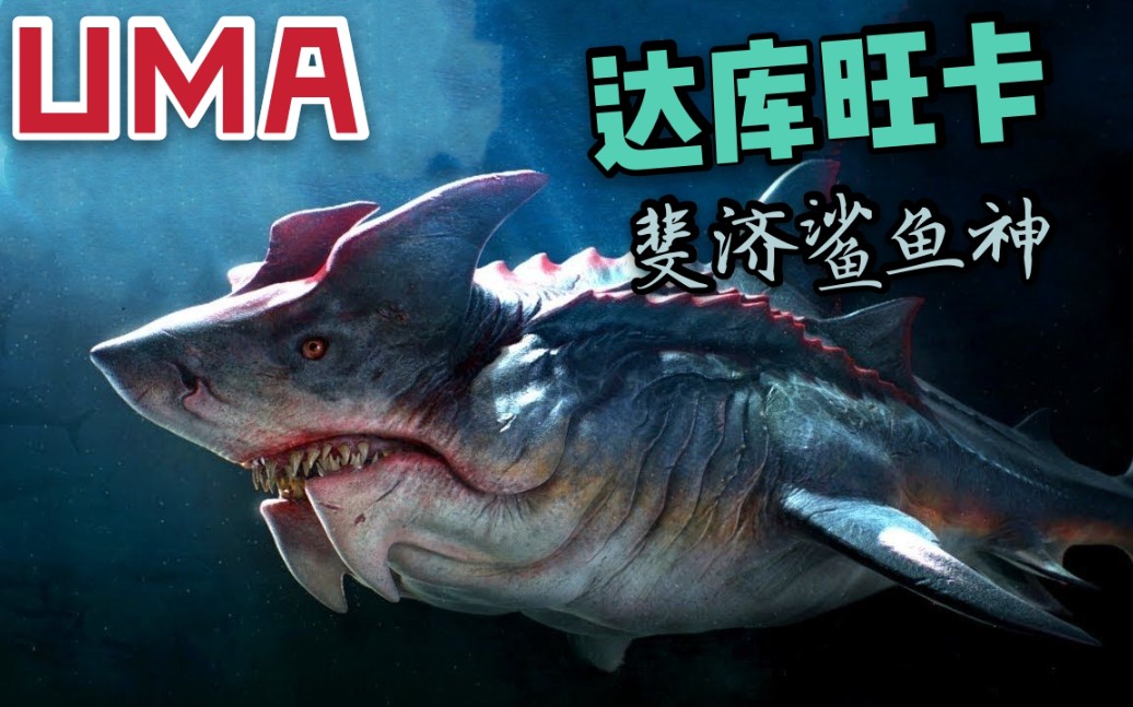 【海怪传说】斐济的鲨鱼之神-「达库旺卡」,一只深受当地人尊重的超