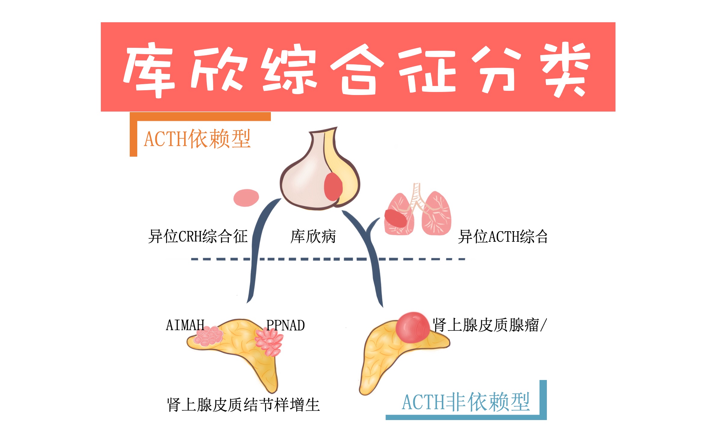 库欣综合征漫画图片