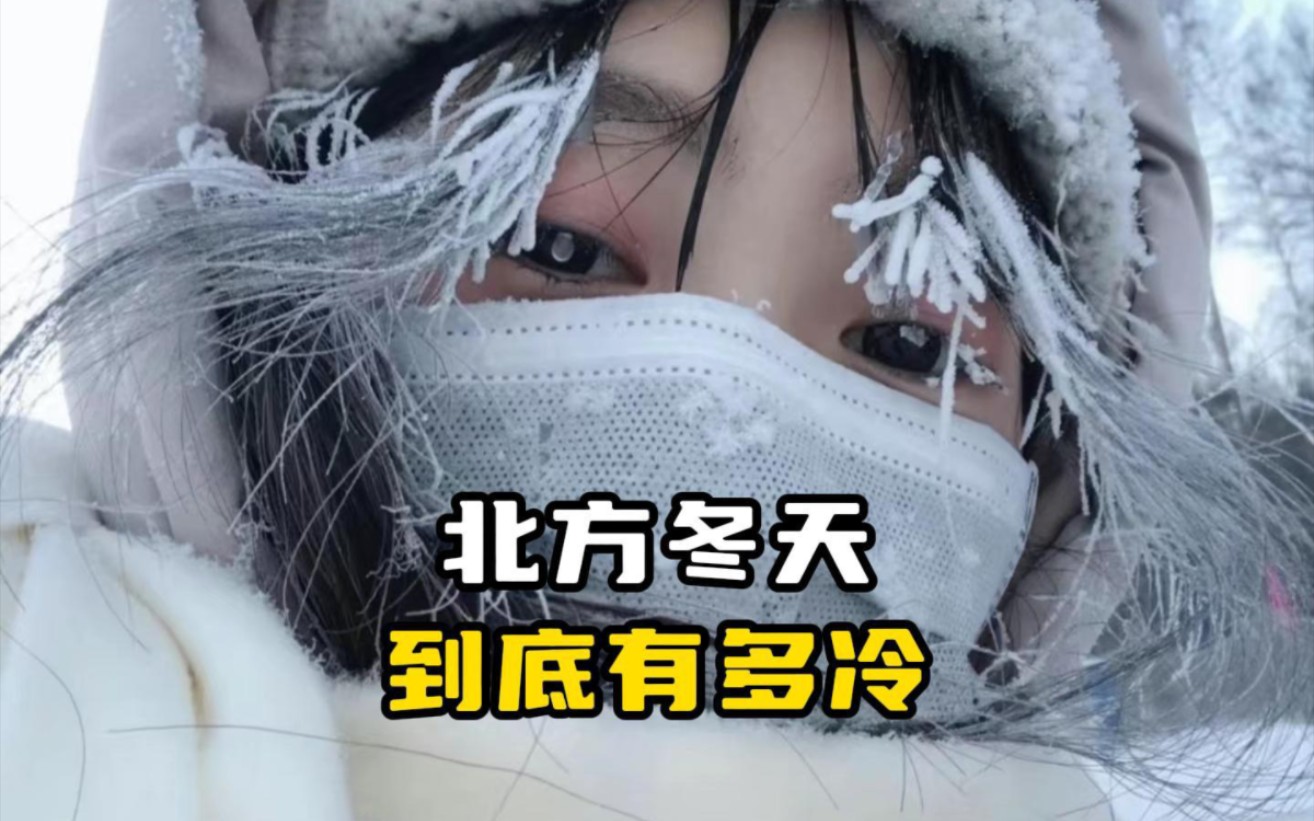 北方的冬天到底有多冷?你在南方露着腰,我在北方裹着貂