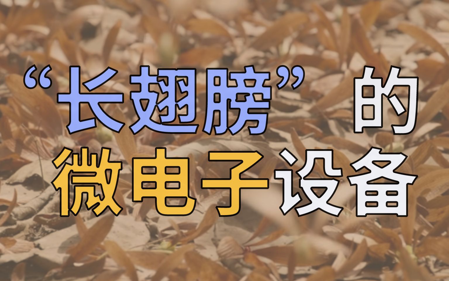 “种子飞行器”如何监测环境?哔哩哔哩bilibili