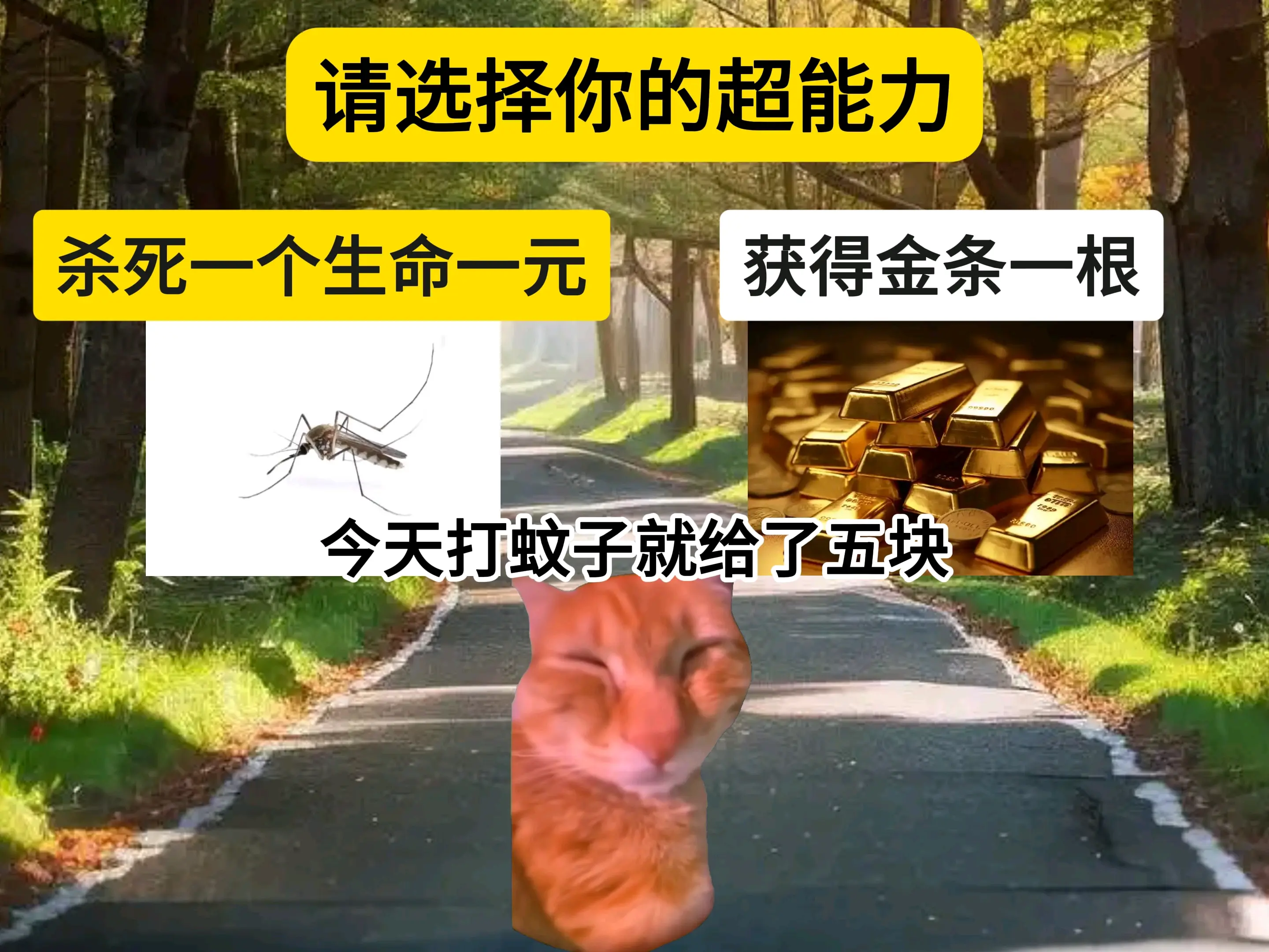请选择你的超能力#猫meme #猫meme小剧场 #搞笑 #抽象 #内容过于真实_哔哩哔哩_bilibili