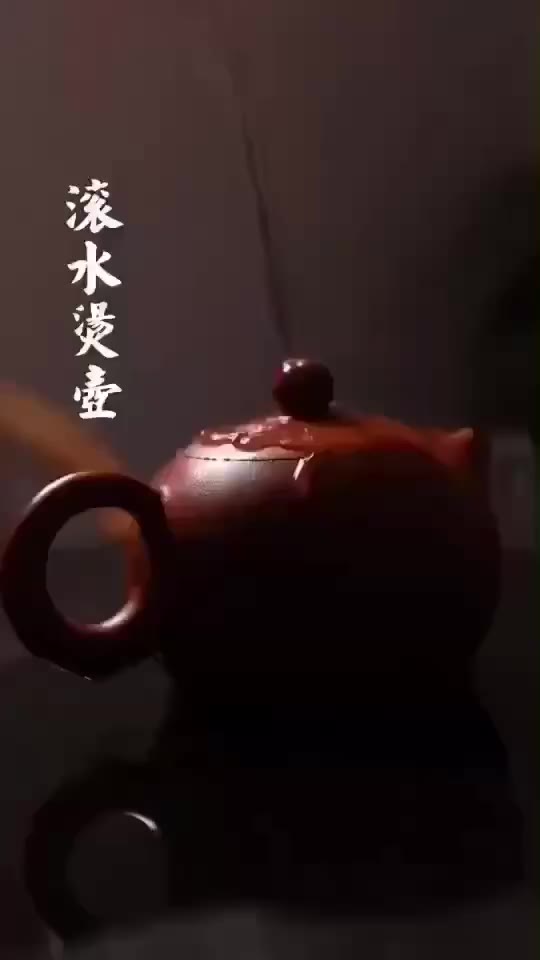 潮汕工夫茶冲泡方式哔哩哔哩bilibili