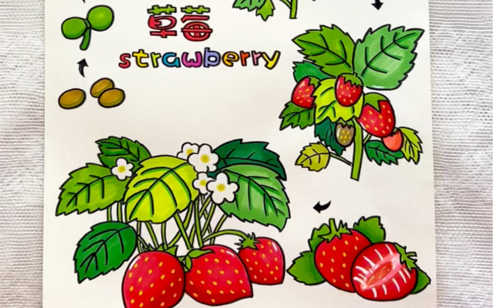 草莓手抄报简单又漂亮图片
