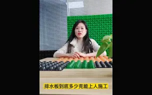 Descargar video: 问：30高排水板多少克重能上人？视频来回答！