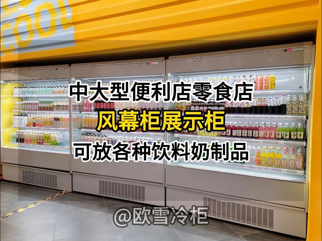 中大型便利店零食店都在用什么冷柜?哔哩哔哩bilibili