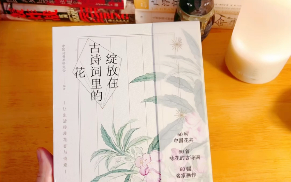 绽放在古诗词里的花美在了我心坎坎上!哔哩哔哩bilibili