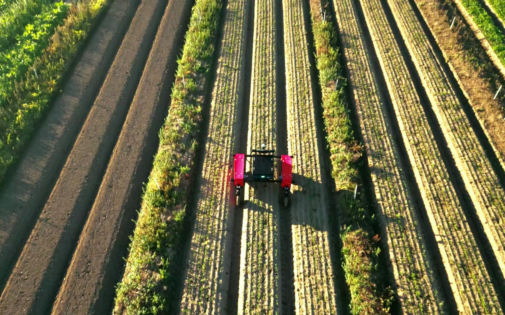 澳大利亚农业除草技术