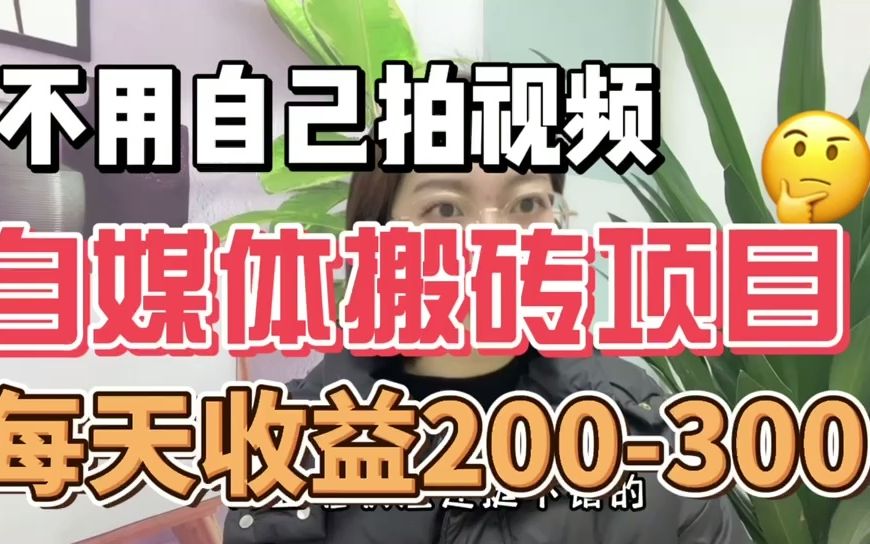 一个自媒体搬砖小项目,每天收益200300,不用自己拍视频!哔哩哔哩bilibili