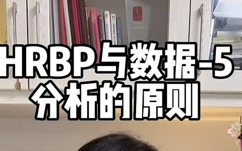 【HR内幕】HRBP与数据分析原则,有哪些?#HRBP#Hr哔哩哔哩bilibili