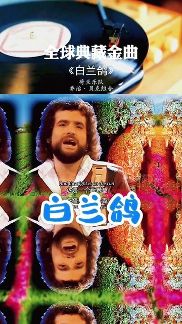 白兰鸽(paloma blanca),是荷兰乐队乔治·贝克组合演唱的一首歌曲