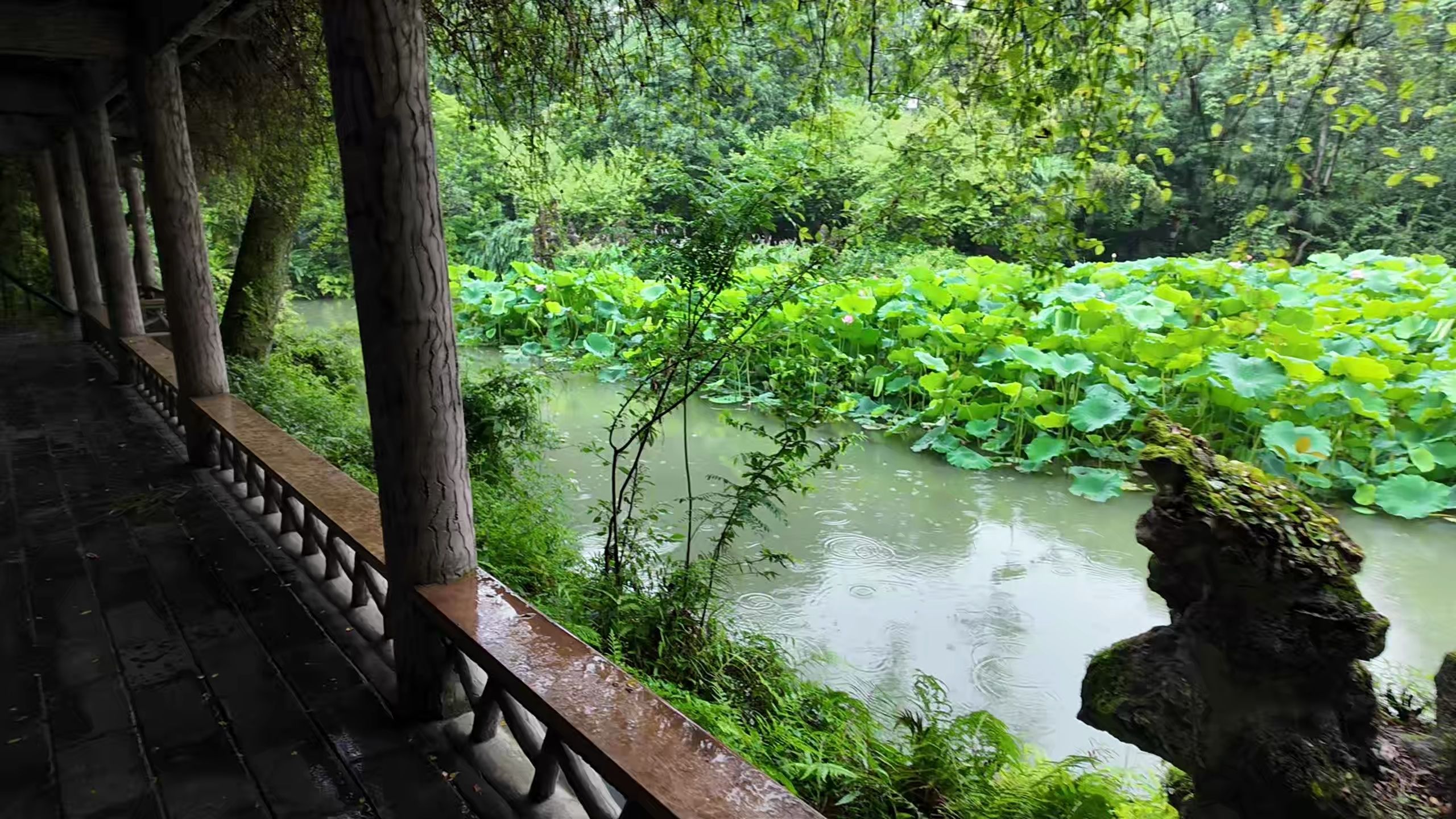雨天 白噪音 成都 杜甫草堂
