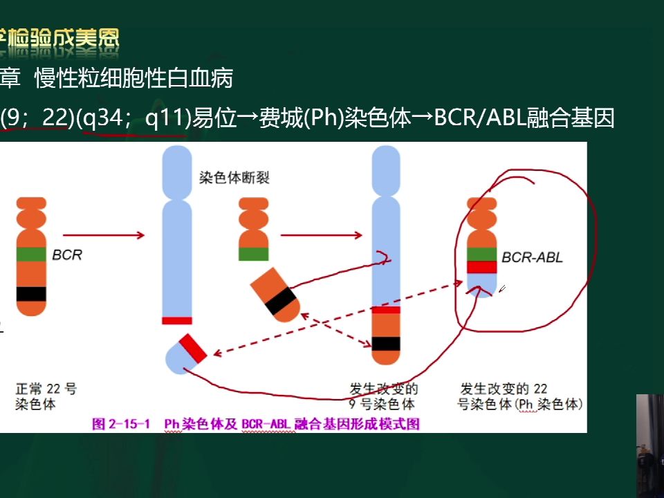 检验职称考试【重要知识点】6哔哩哔哩bilibili