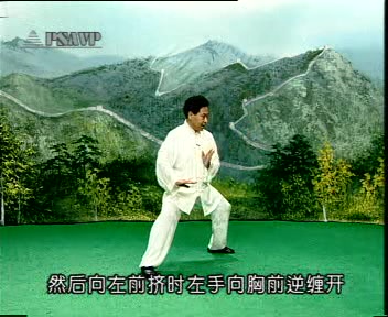 【武术太极拳】一学就会李恩久陈氏洪派太极拳老架1路025哔哩哔哩bilibili