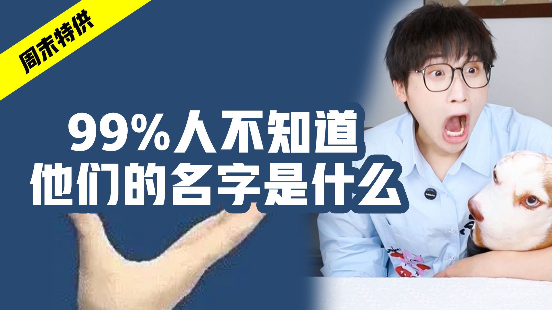 打开格局!99%人不知道他们的名字是什么!哔哩哔哩bilibili