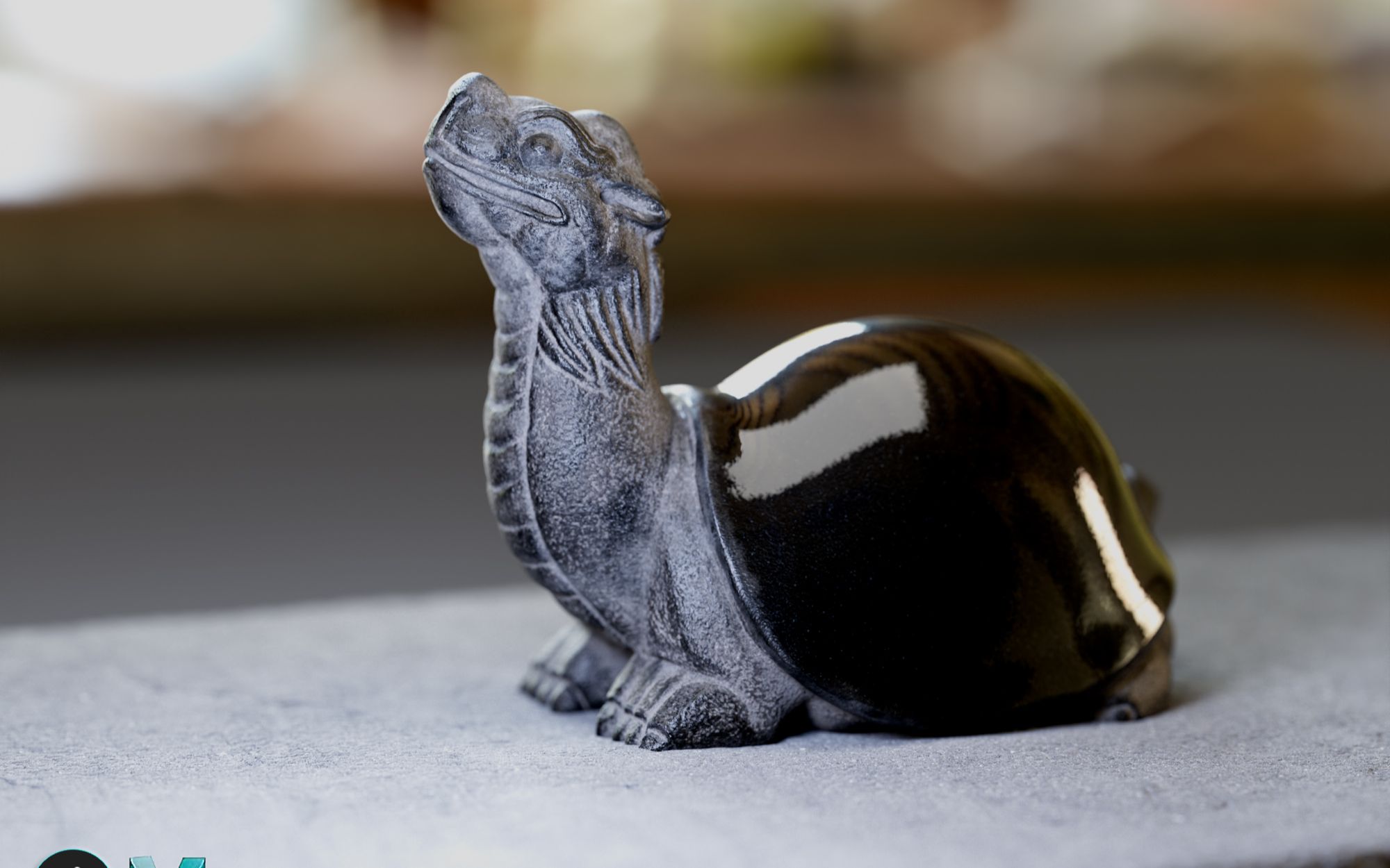 这样的乌龟你养得起吗养个玄武当宠物