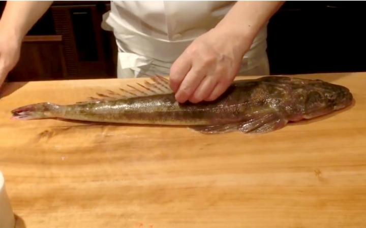 日料刀工系列鲬牛尾鱼薄切刺身分解