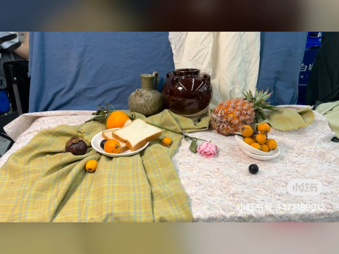 色彩静物素材