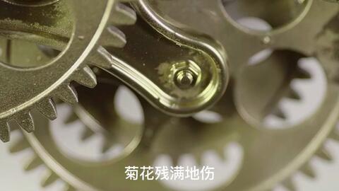 菊花台英语老师 哔哩哔哩