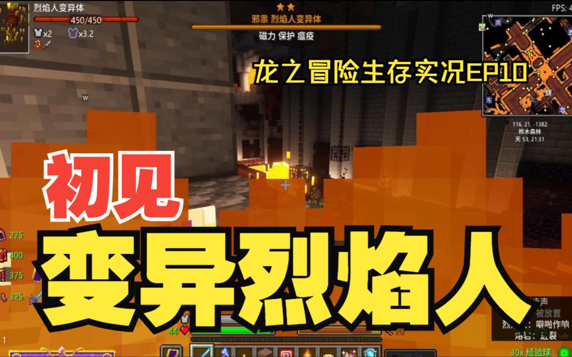 初见变异烈焰人 龙之冒险生存 ep10