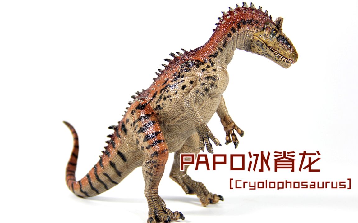 蝎子的模玩分享26: 法国papo冰脊龙
