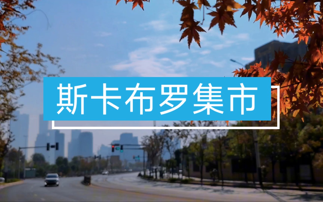 [图]口哨版《斯卡布罗集市》纯音乐，世间难得如此天籁之音，优美旋律、醉人心扉