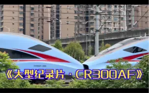 Download Video: 【4K·国铁】CR300AF重联、达速