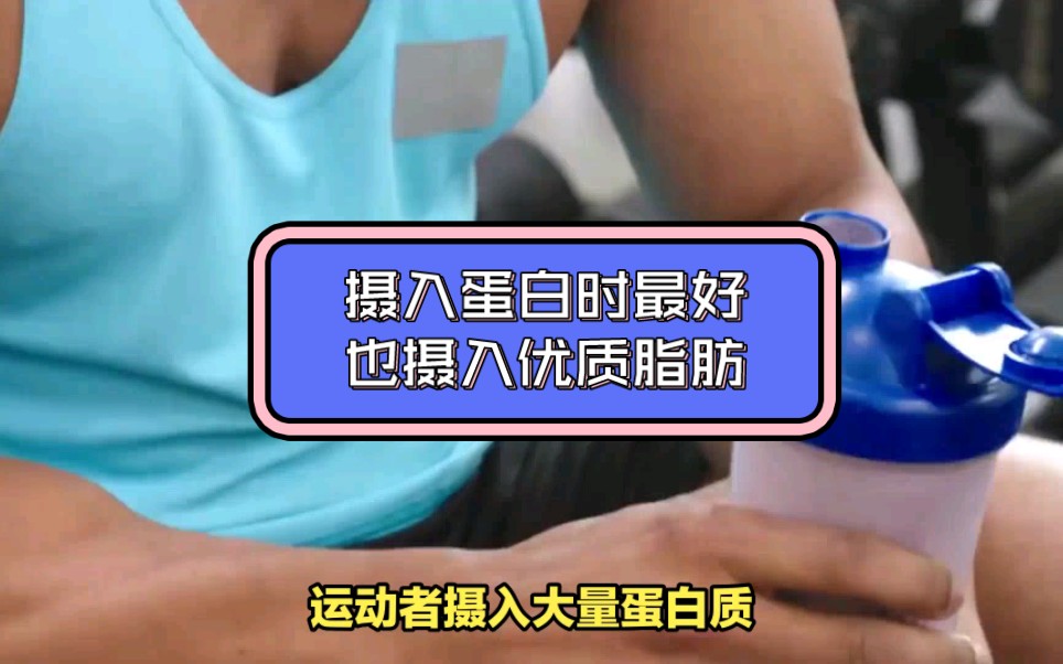 健身愛好者如何合理攝入蛋白質與脂肪來維護睪酮水平?