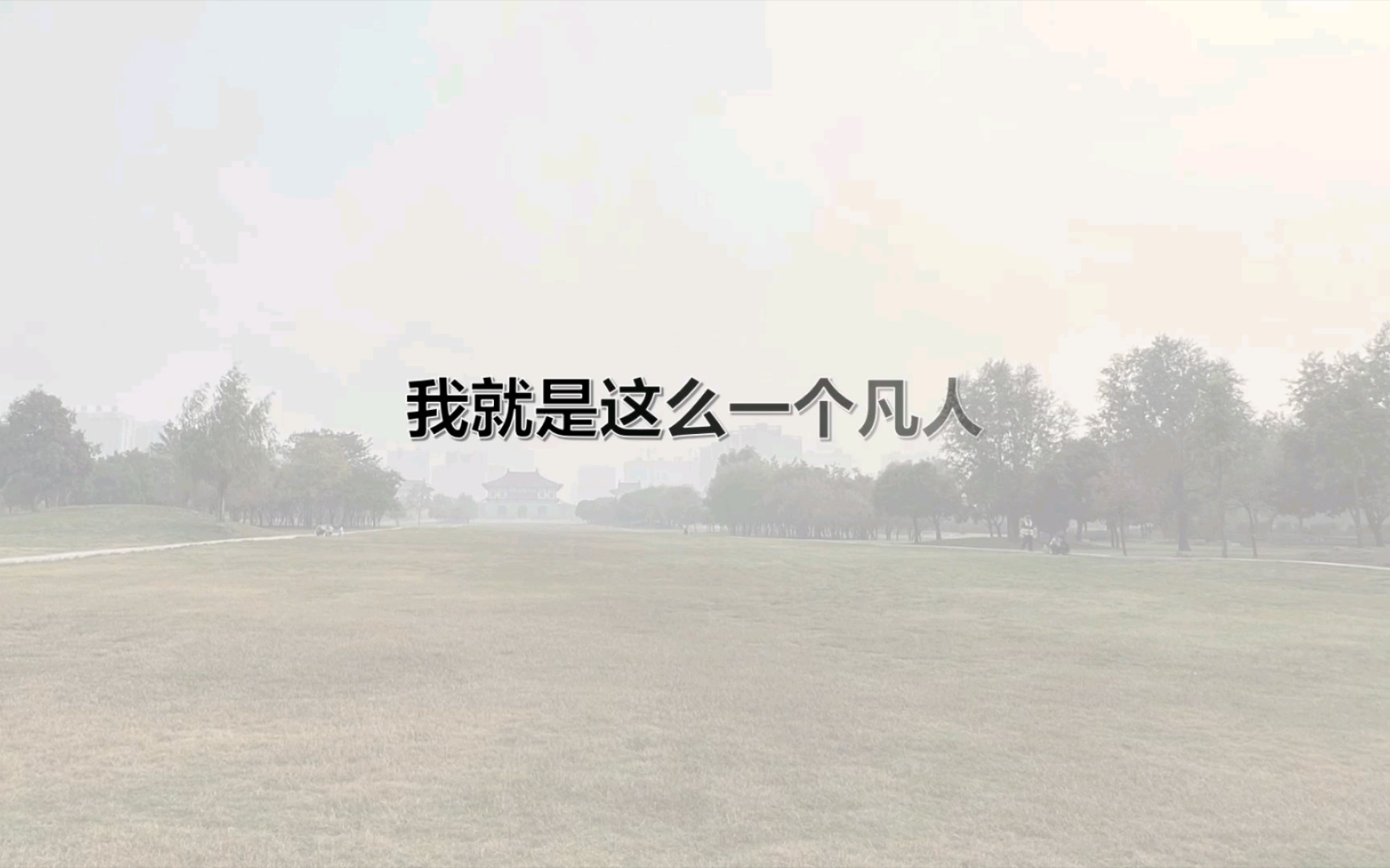 我就是这么一个凡人