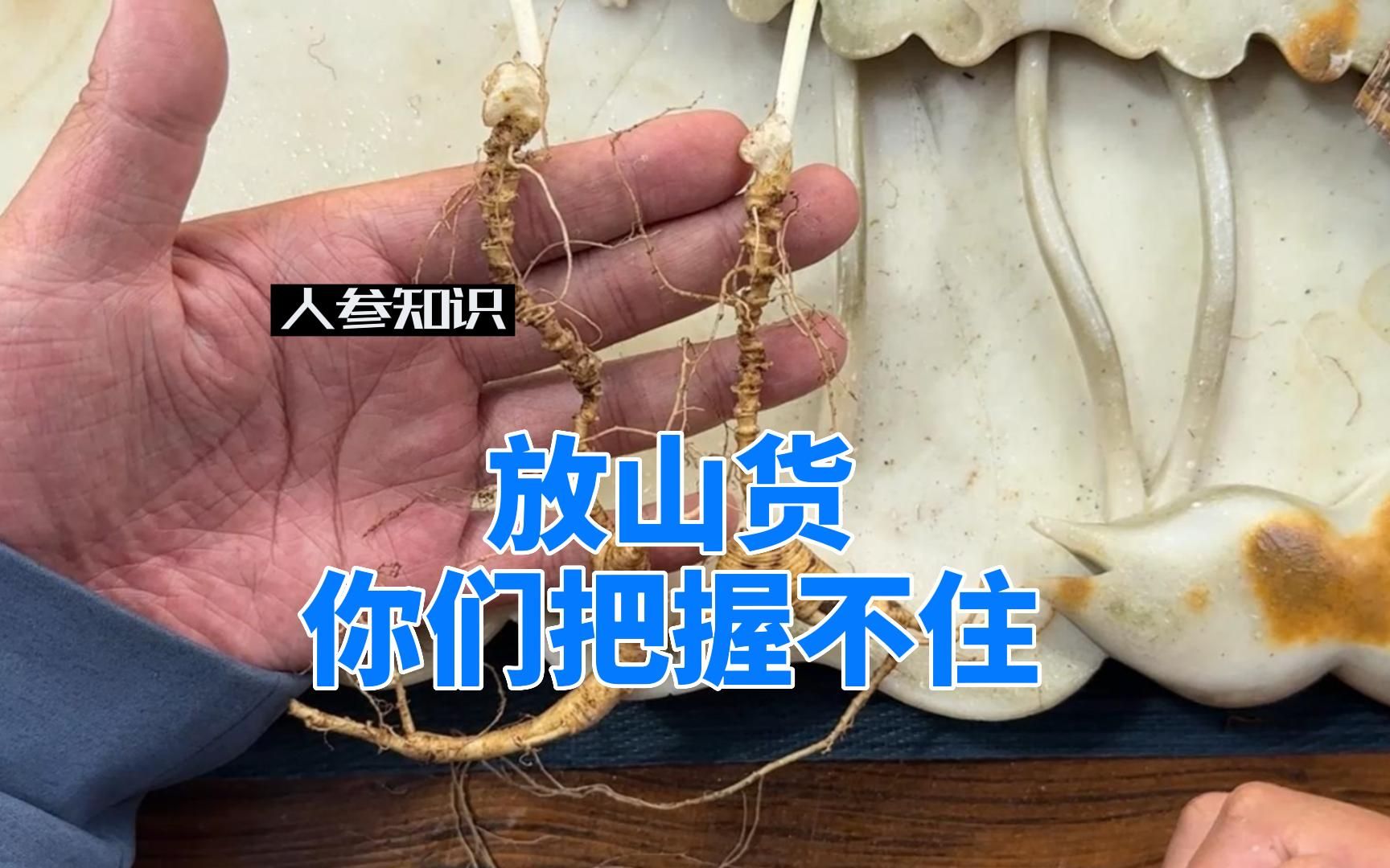 花高价买的人参,不一定是你想要的,长得像的太多哔哩哔哩bilibili