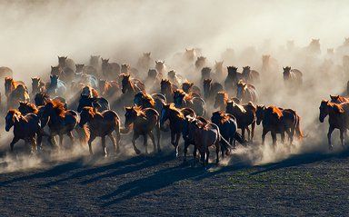 世界十大气势背景音乐哔哩哔哩bilibili