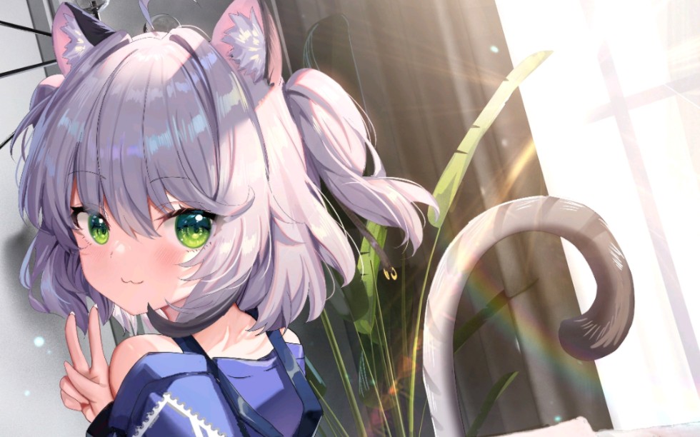 猫之城 狂戳艾可一分钟