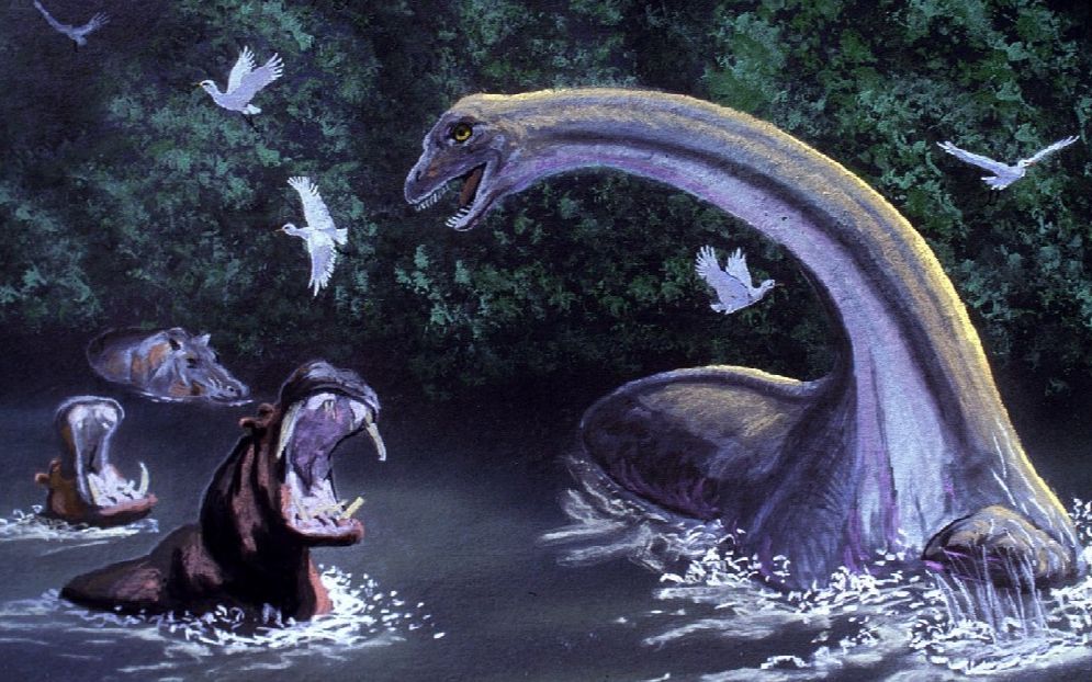 开赛暴龙,刚果雷龙,非洲活恐龙竟出自古早电影_哔哩哔哩_bilibili