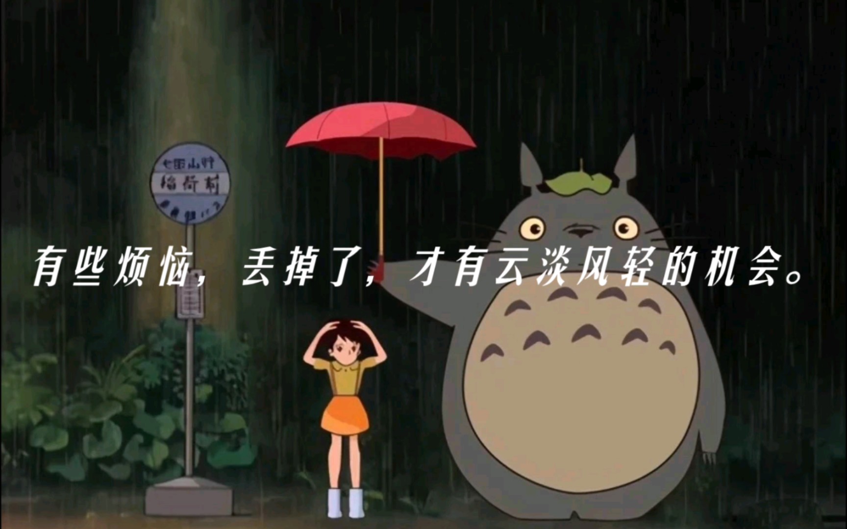 有些烦恼,丢掉了,才有云淡风轻的机会.《龙猫》