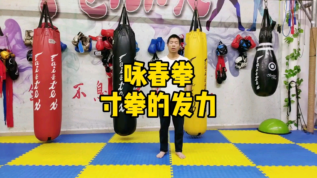 咏春拳教学之寸拳的发力_哔哩哔哩_bilibili