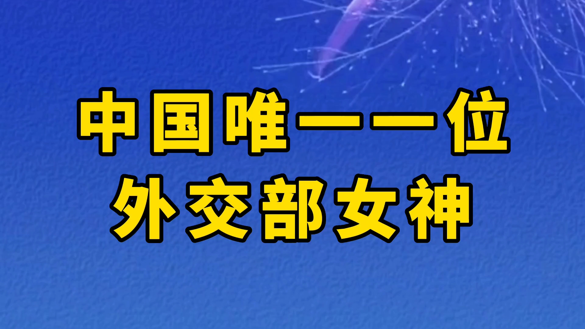 看看中国外交部女神华春莹的成长人生哔哩哔哩bilibili