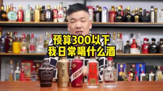 Download Video: 预算300块钱以下，聊聊我日常不同场合喝什么酒？