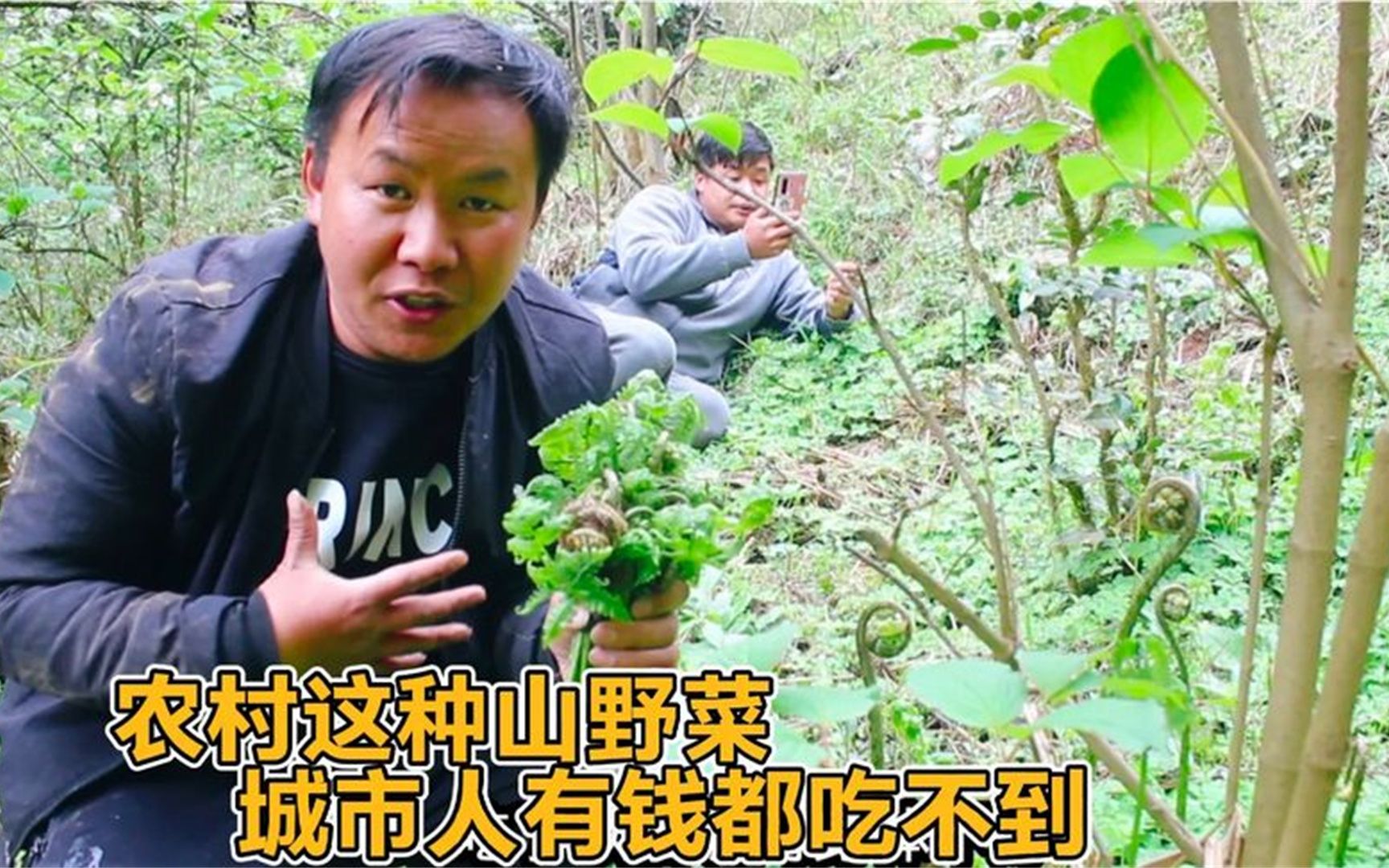 [图]苗山情和孩子的干爹徒步到山里采野菜这几种野菜你一定没吃过