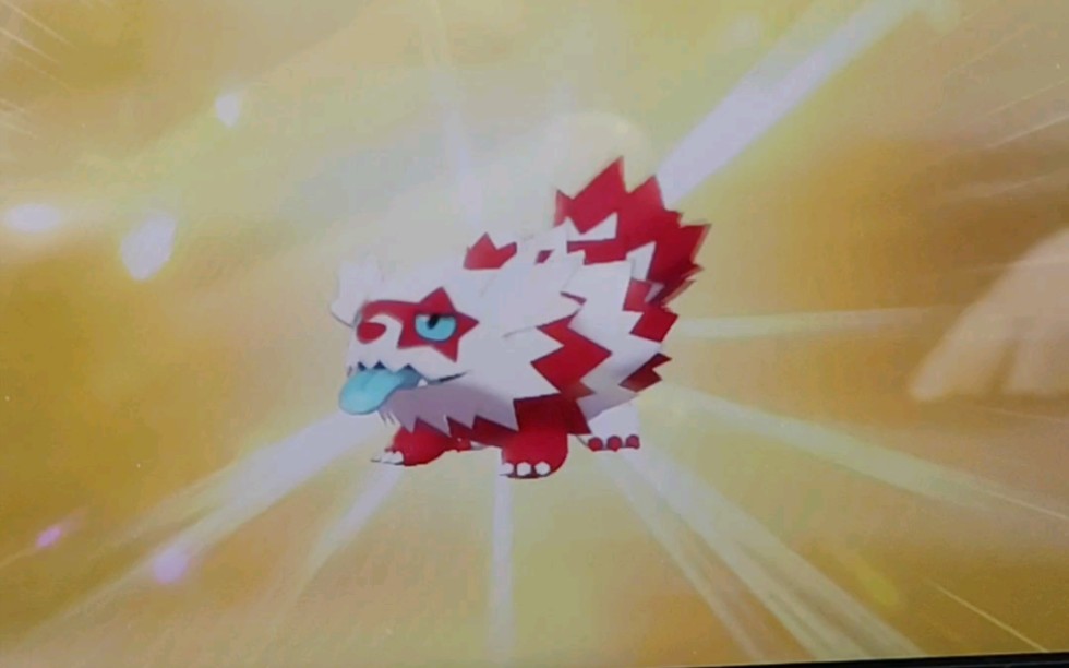 宝可梦剑盾堵拦熊闪光