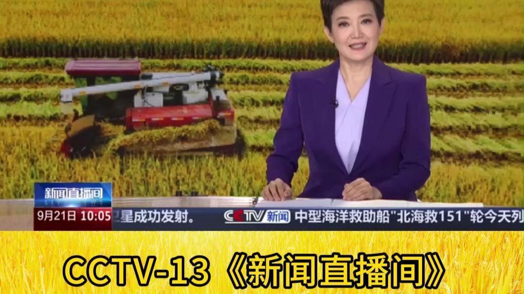 全国秋粮即将迎来大面积收获 主产区加强田间管理促丰收