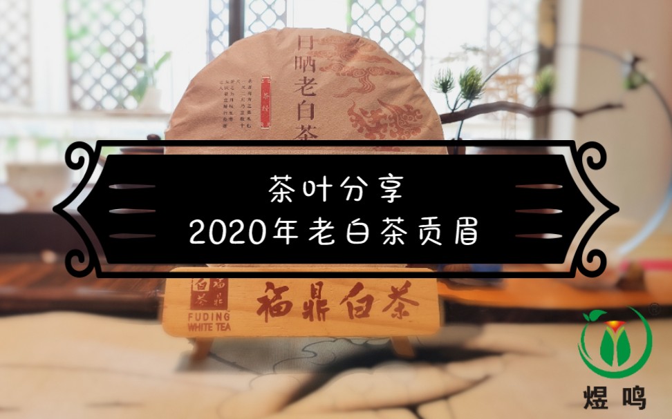 茶叶分享‖2020年老白茶贡眉哔哩哔哩bilibili