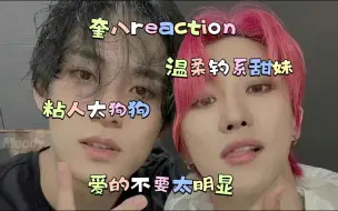 Download Video: 正泰粉reaction【奎八】 是我夜爬完泰山   也要看的小甜甜情侣！！！