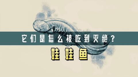 根付 魚の頭 割引お買い得 その他 | sienasanisidro.com
