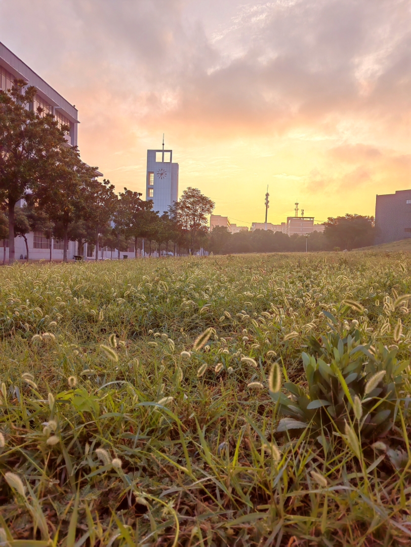 浅浅的分享一下平顶山学院医学院的校园啦哔哩哔哩bilibili