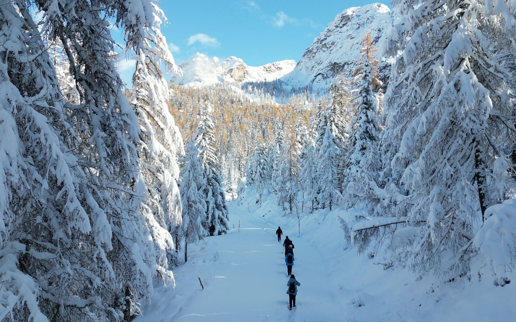 冬天意大利·多洛米蒂7215|童话般的冰雪世界
