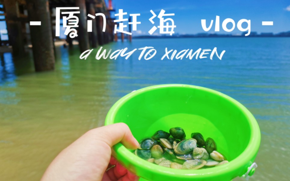 厦门彩虹沙滩赶海vlog|挖花蛤,抓螃蟹,夏天的首选|周末嗨翻天哔哩哔哩bilibili